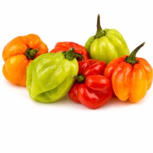 Nai Miris (Bird's Eye Chilli) 100g