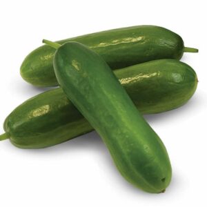 Gherkin 100g